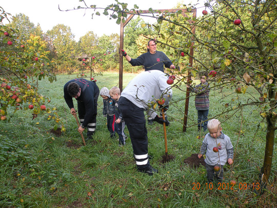 Streuobstwiese2