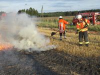 Leeseringen_20170713_Flaechenbrandbekaempfung_2