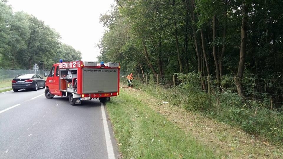 Technische Hilfeleistung Technische Hilfeleistung